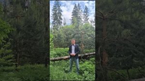 Первый новостной выпуск о такси