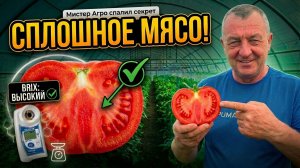 ОПТОВИКИ В ШОКЕ ОТ КАЧЕСТВА! Формула тяжелого и сладкого томата (Секрет налива)