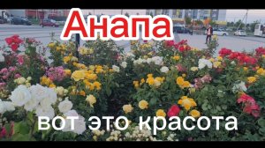Какая красота.