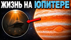 Ученые обнаружили жизнь на спутнике Юпитера