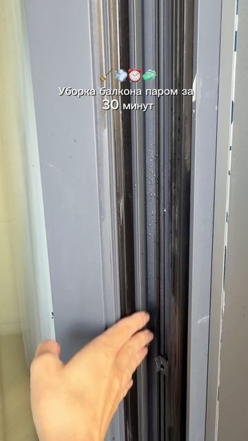 Пароочиститель