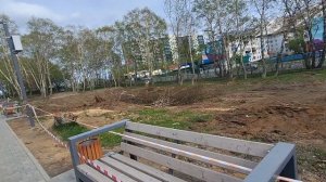Продолжаем начатое.Цветы под холодным ветром