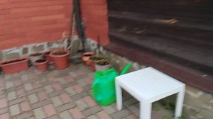 Что у меня есть на улице (во дворе) 2 часть