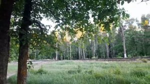Неудача с установкой капельного полива скрасили отдыхом в баньке