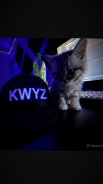SHADY И KWYZ 2 ЛЕГЕНДЫ смотреть онлайн