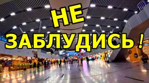 КАК ПЕРЕЙТИ ЖД ВОКЗАЛ АДЛЕР: ОТ МОРЯ В ГОРОД 🗺️ ОТПУСК. 25 НОЯБРЯ 2025 ГОДА. ОТПУСК.
