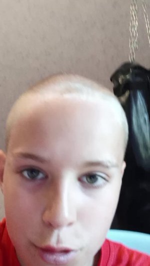 повиг
