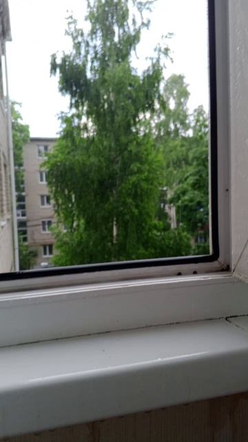 я успел зайти в подъезд... смотреть онлайн