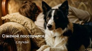 Аудиокнига «С женой поссорился» (случай). А.П.Чехов. Читает Олег Федин