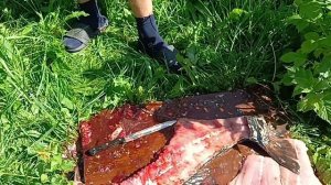 ПРИЕХАЛИ С РЫБАЛКИ 👍РАЗДЕЛЫВАЕМ РЫБУ 🤪СКОЛЬКО МЯСА😄