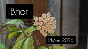 влог. цветочно- бытовой