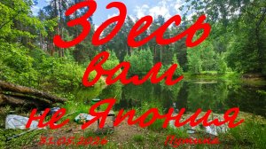 Здесь вам не Япония. 31.05.2026. Карьеры на Северном шоссе. Херабуна. Рыбалка в Московской области.