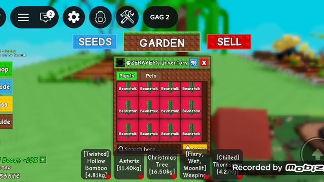 grow a garden roblox part 4 24час! смотреть онлайн