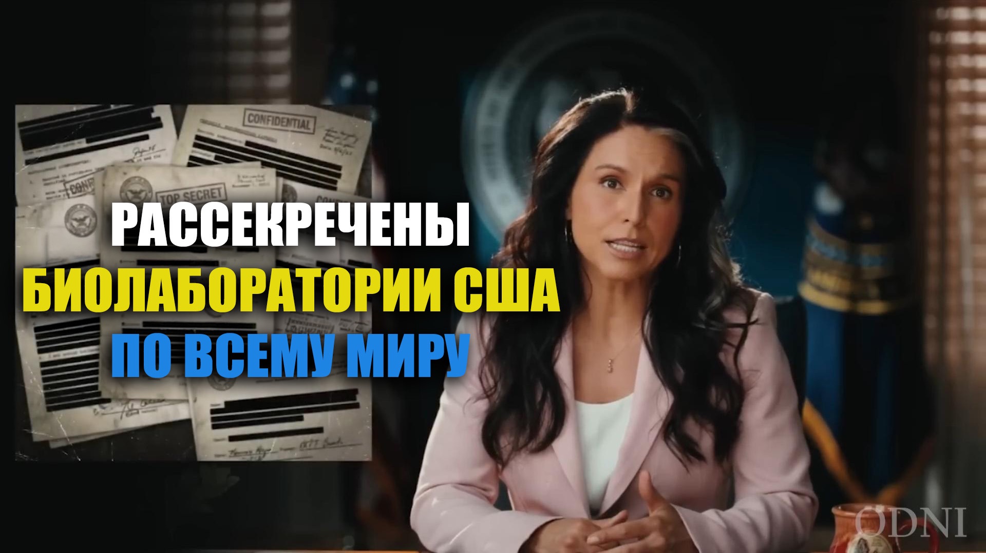 ТУЛСИ ГАББАРД РАСКРЫВАЕТ ГЛОБАЛЬНУЮ ПРОГРАММУ БИОЛАБОРАТОРИЙ США смотреть онлайн