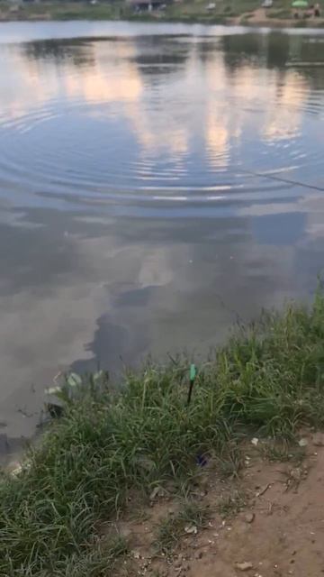 1000153896.mp4