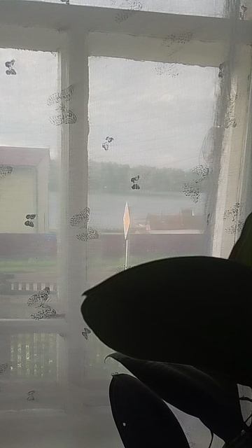 Опять дождь.