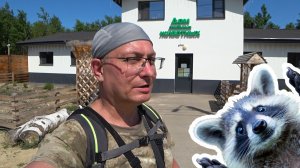 ДОМ СПАСЁННЫХ ЖИВОТНЫХ. Я не мог проехать мимо