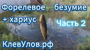 Форелевое безумие, часть 2. Рыбалка с берега. Новгородская область.
