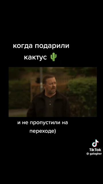 Вторник#фильмы#сериалы#комедии#юмор#новости#природа смотреть онлайн