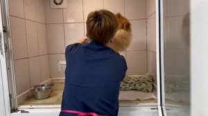 У любви были другие планы... | Дона