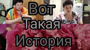Капуста🌿👍 Увлечения😅💥История одного бомжа.