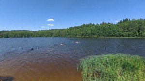 Велосипедная прогулка к реке