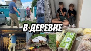 VLOG: Ловим КУР//Смотрим ТЕЛЯТ//Застолье и Деревенские ГОСТИНЦЫ