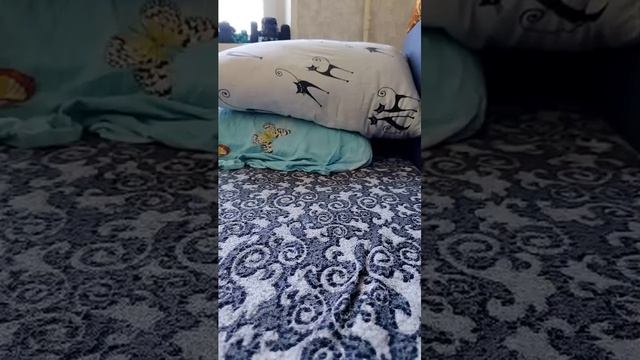 дружба лето весна