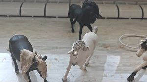 ЭКспОНаТ ☝🏻😅 опять выпендрёж 👯♀️