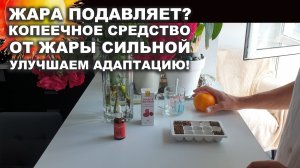 Жара и как легче переносить жару с копеечным средством. Фукус + Живое Железо