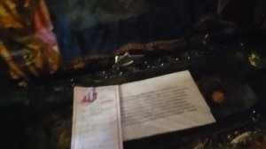 Ваши имена и письма я приложила к чудотворному образу Богородицы Айа Напа и поясу Богородицы