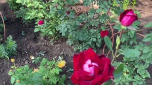 На завтрак яичница// мотивация  по жизни // 🤔😉🌹