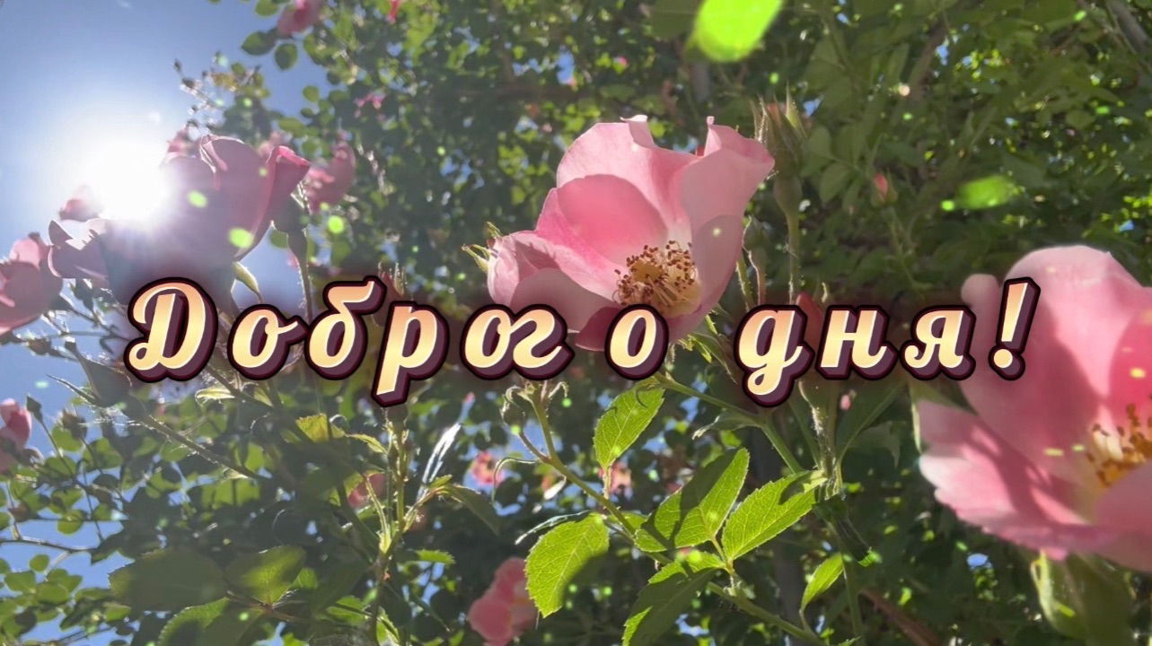 Хорошего Дня! Отличного настроения!