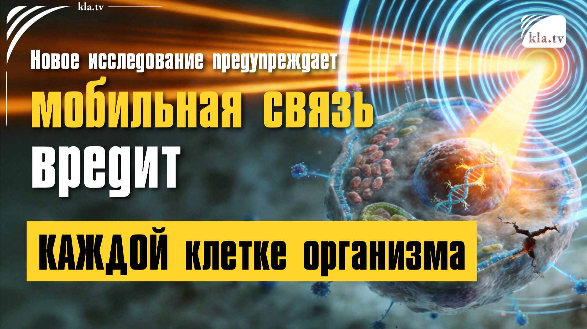 Новое исследование предупреждает: мобильная связь наносит вред КАЖДОЙ клетке организма! kla.tv/41596