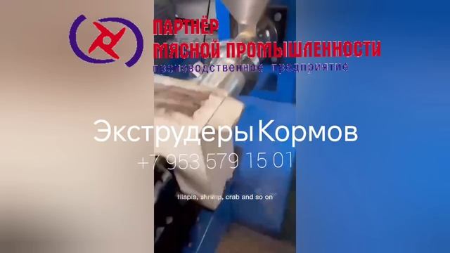 Кормовой экструдер для рыбы. Экструдер для корма плавания