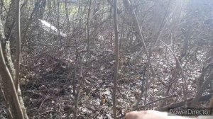 Мои первые «сморчки»🤗