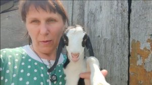 ВЕСЬ ДЕНЬ НАС НЕ БЫЛО ДОМА. ХМУРИТСЯ, НАДО БЫ ДОЖДИКА