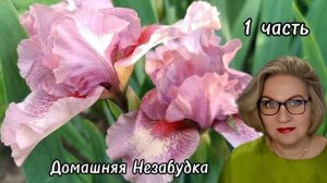 1 часть. Куча испытывает НЕПРИЯЗНЬ к заставленным квартирам❗️Как у ДОСКИНЦЕВ❓️