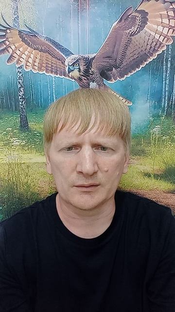 Зерно Истины