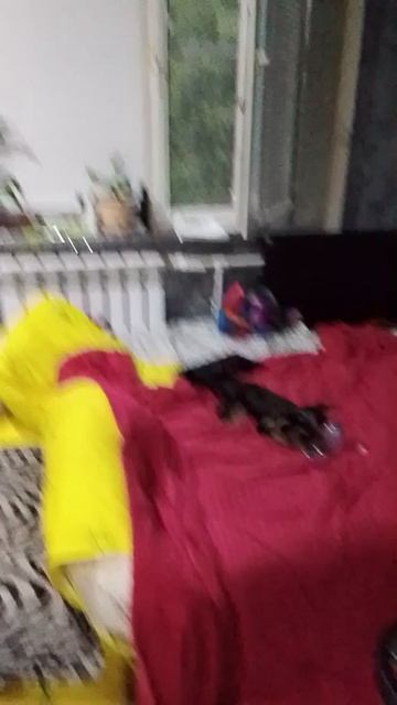 1000004089.mp4 смотреть онлайн
