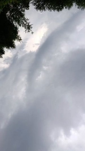 гулять после грозы.