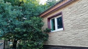 К Быковой помощница приехала