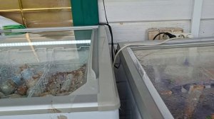 24 часа из моей жизни часть 2