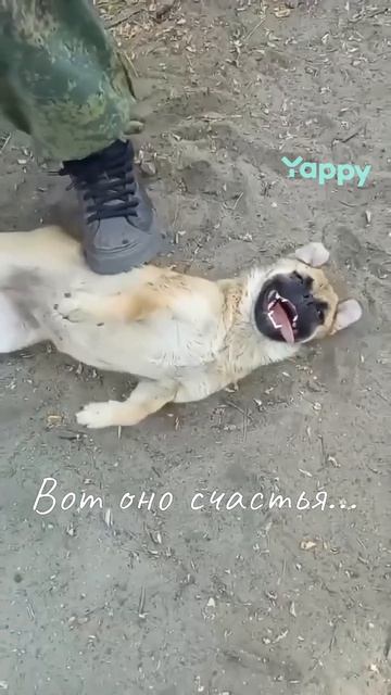 #funny#lol#meme#humor#comedy#viral#instagood