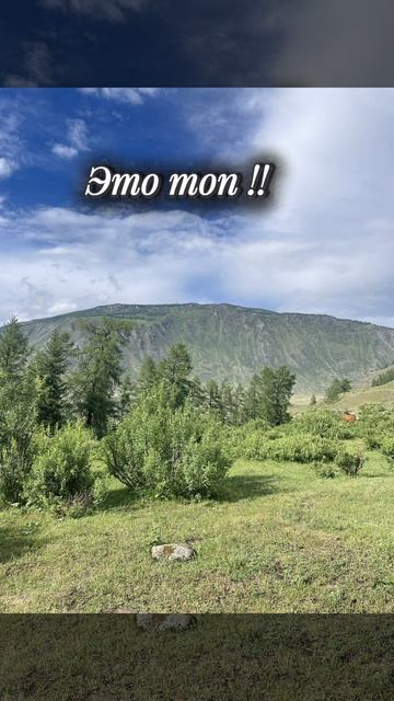Это топ!!