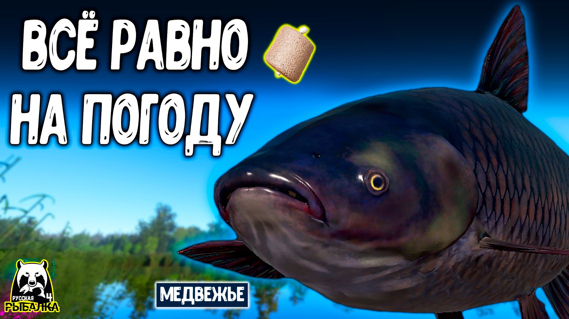 Им всё равно но повышенную или на пониженную погоду #рр4