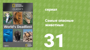 Самые опасные животные 31 серия (документальный сериал, 2007)