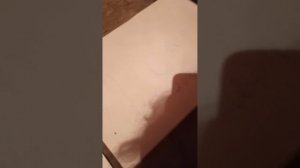 Футбол и Темнота.