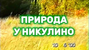 Природа у Никулино 26 лет назад  | Лето 2000