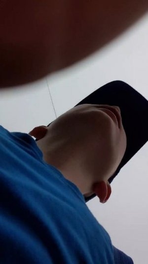 ш